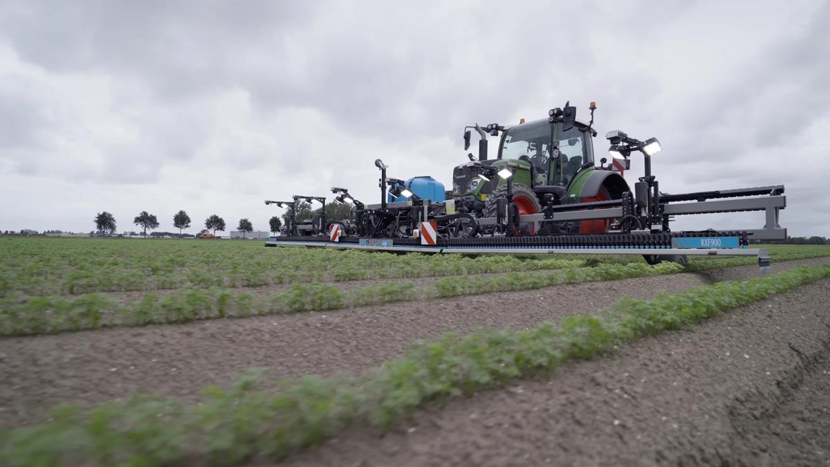 RUMEX RXF 900 – Gemüse/Ackerbau