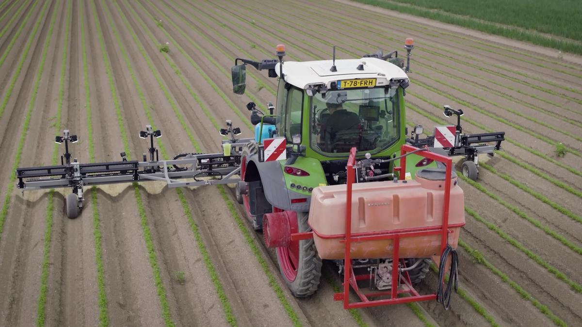 RUMEX RXF 600 HPF – Gemüse/Ackerbau